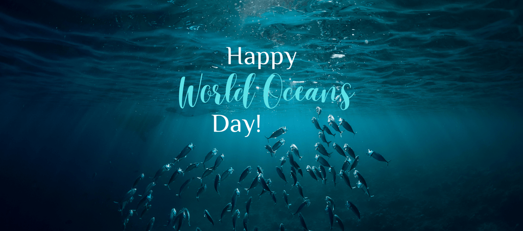 World Oceans Day: protecting the oceans for safeguarding our existence